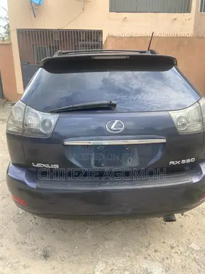 Lexus RX 330 2005 Gray