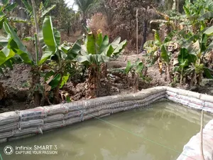 Fish Farming Startups