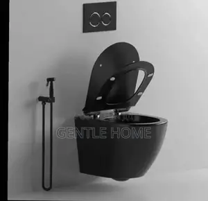 Black Concealed Water Closet (Wc)