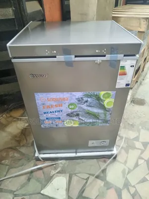 Snowsea Chest Freezer 100 Liters