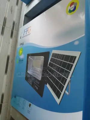 FFG 300w Flood Light