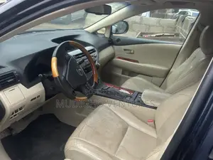 Lexus RX 2010 Gray