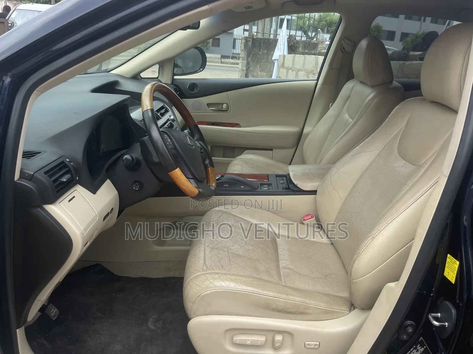 Lexus RX 2010 Gray