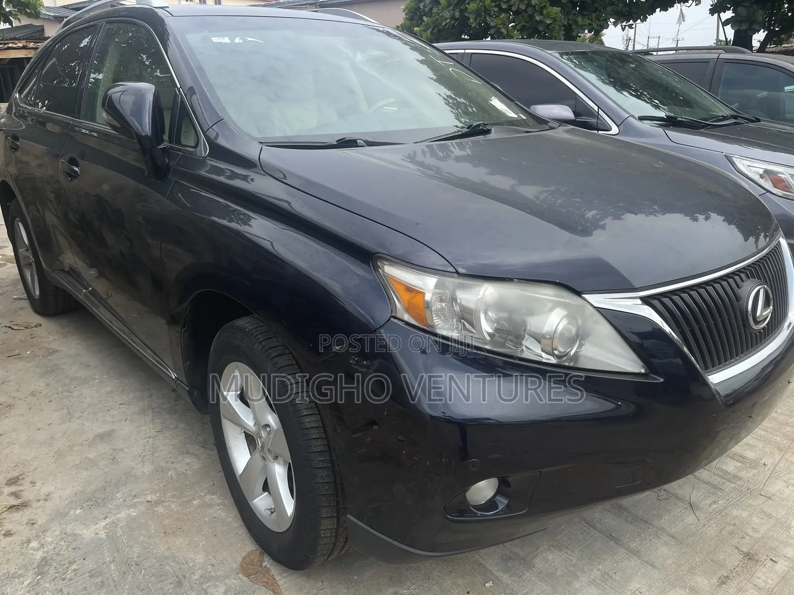 Lexus RX 2010 Gray