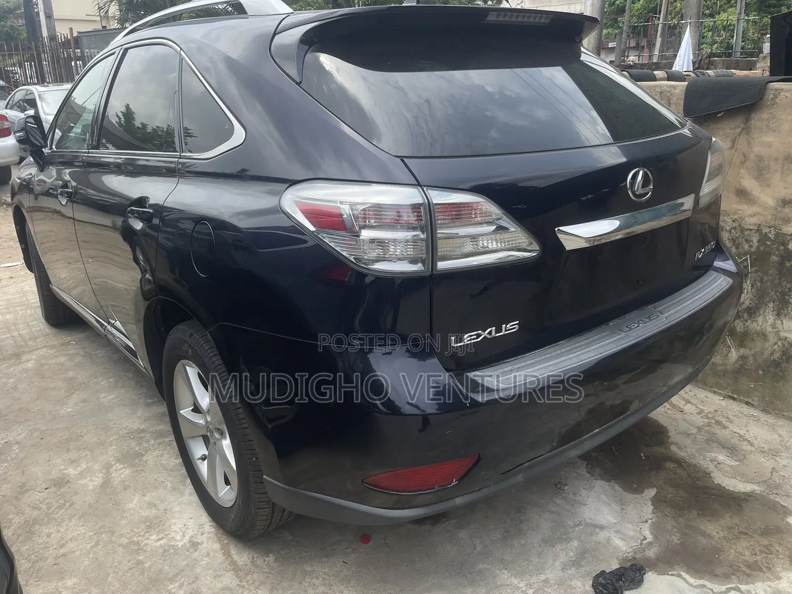 Lexus RX 2010 Gray