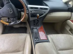 Lexus RX 2010 Gray