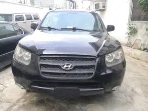 Hyundai Santa Fe 2009 Black