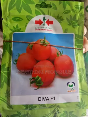 Diva F1 Hybrid