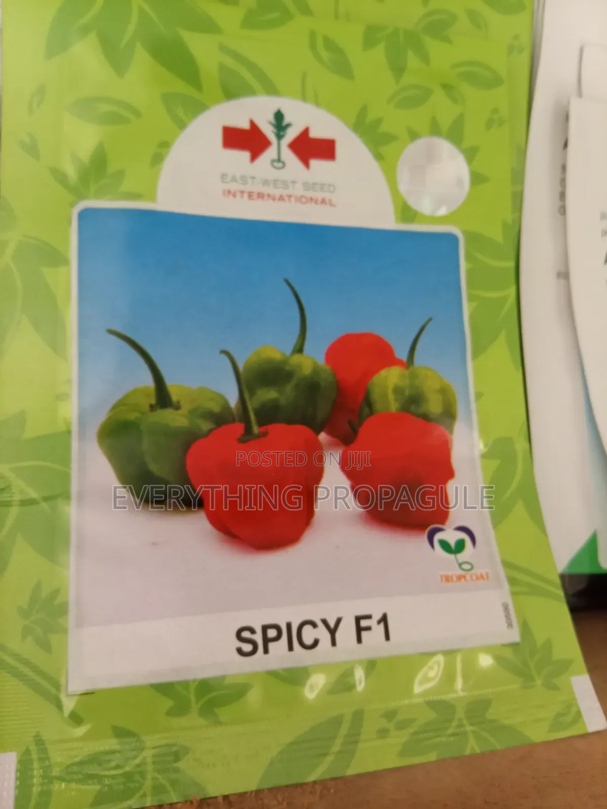 Spicy F1 (Pepper)