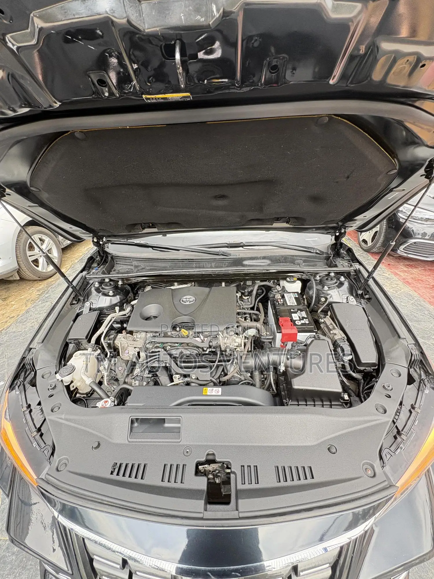 Toyota Avalon 2022 Black