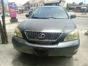 Lexus RX 330 2004 Gray
