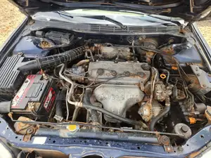 Honda Accord 2000 Blue