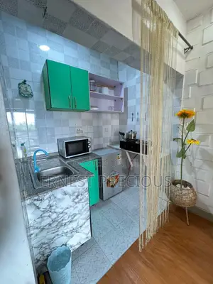 Furnished 1bdrm Apartment in Lekki Garedens for rent