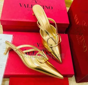 Minimalist Valentino Shoes