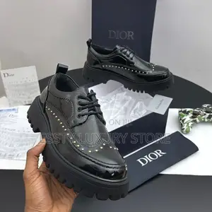 High Quality Luxury Christian Dior Shoe With Stones