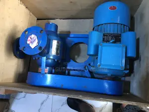 1 1/2 Inch Gas Pump