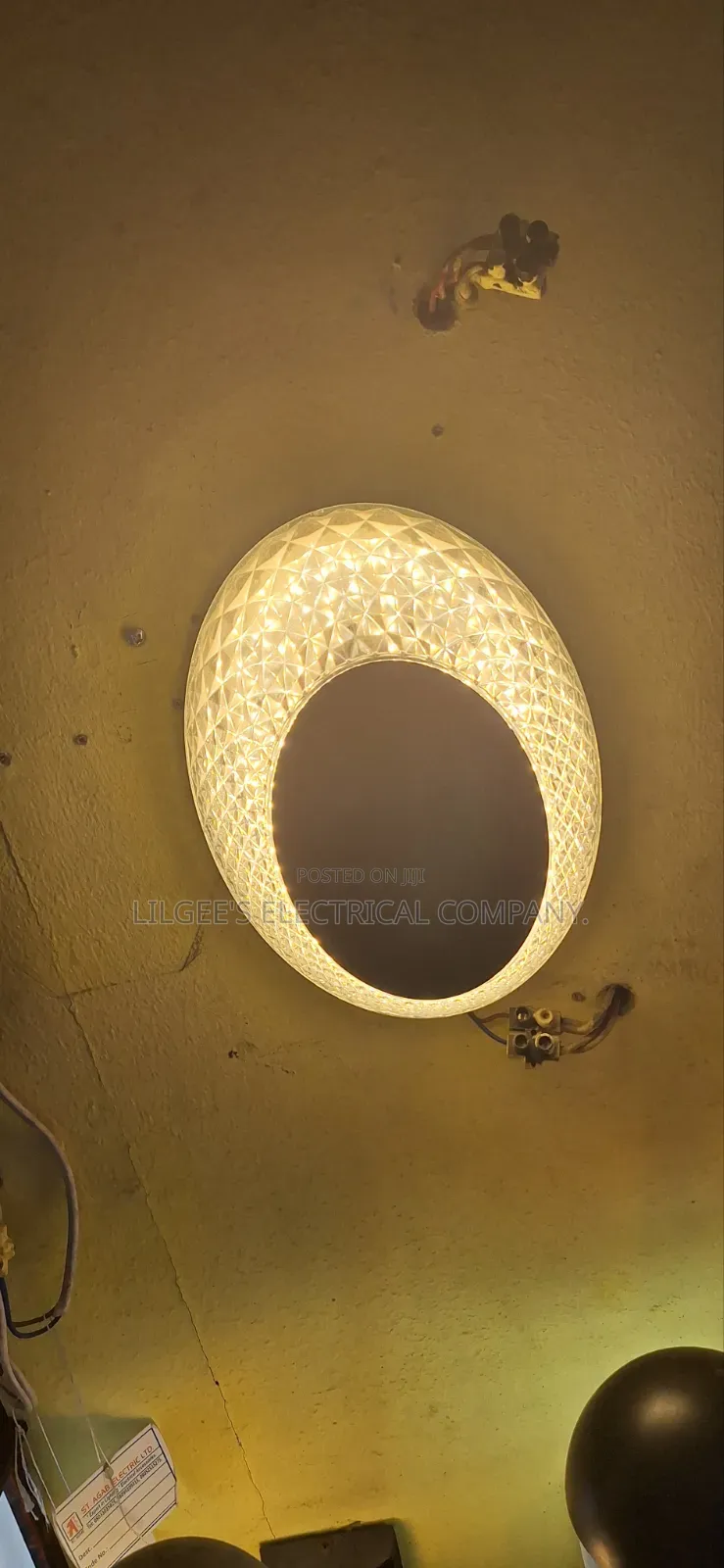 Spherical Shape 24 Watts Led Outdoor Light