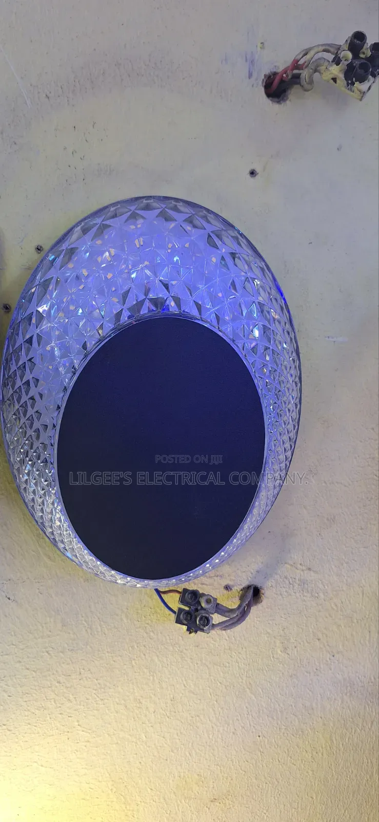 Spherical Shape 24 Watts Led Outdoor Light