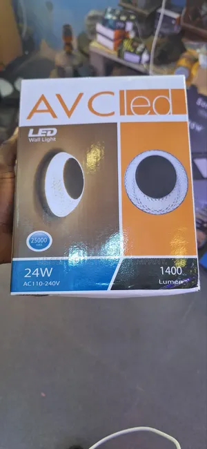 Spherical Shape 24 Watts Led Outdoor Light