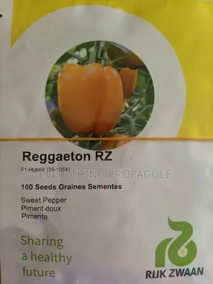 Reggaeton Rz Sweet Pepper Seeds (F1 Hybrid)