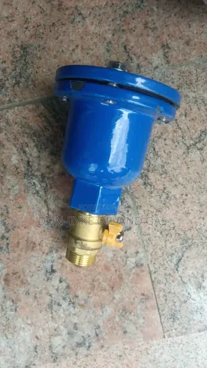 Automatic Air Release Valve