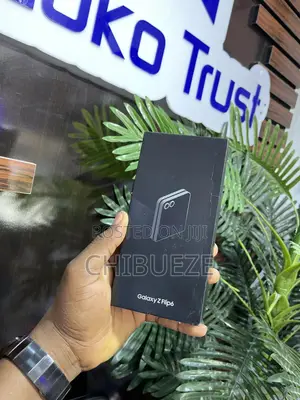 Samsung Galaxy Z Flip6 256 GB Silver