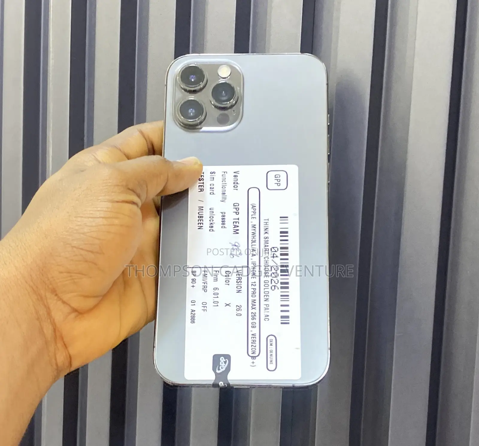 Apple iPhone 12 Pro Max 256 GB Gray