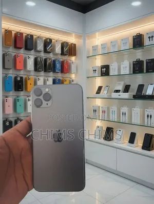 Apple iPhone 11 Pro Max 64 GB Gray