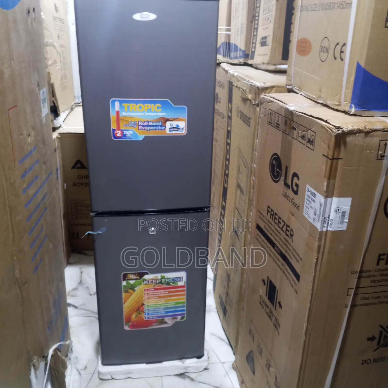 Tekno Cool 250l Refrigerator With Bottom Freezer