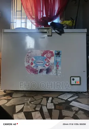 Neatly Used Thermofrost Chest Freezer