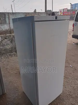 Liebherr Standing Freezer