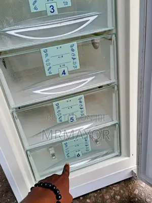 Liebherr Standing Freezer