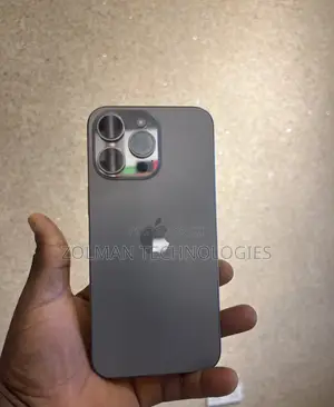Apple iPhone 15 Pro Max 256 GB Silver