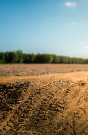 48 Hectares of Land at Katampe Extension Selling in Hectares