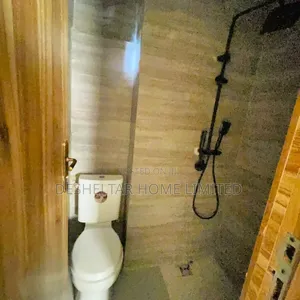 Furnished Studio Apartment in Transit Village 2, Adeola Odeku for rent