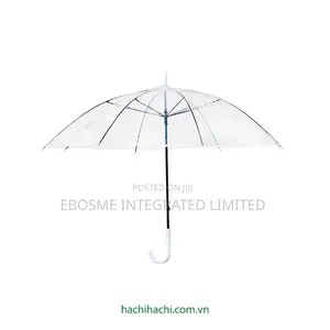 Transparent Umbrella