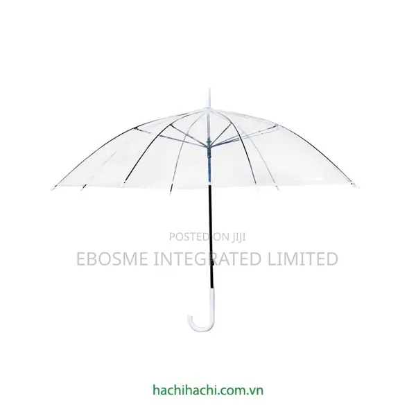 Transparent Umbrella