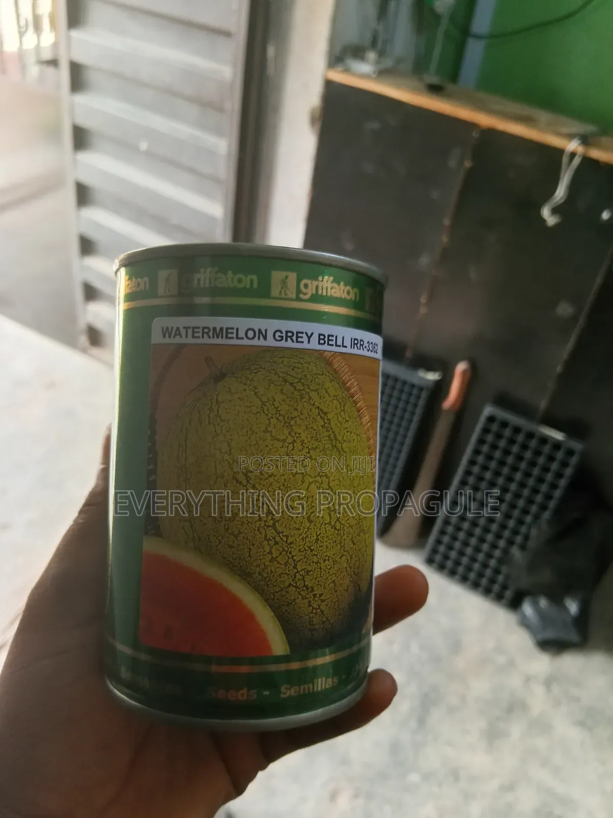 Grey Bell Watermelon Seeds (Griffaton)