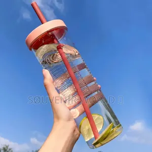 Fruit Infuser Water Bottle With Straw