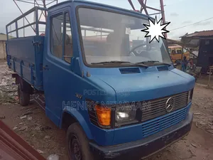 Mercedes 307 Truck for Sale