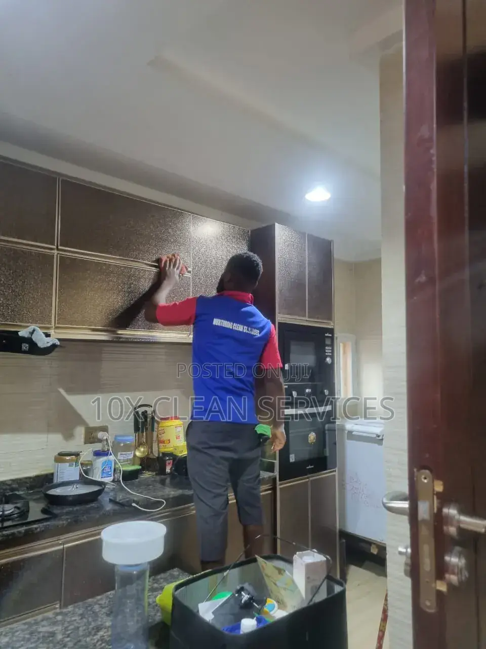 Premium Cleaning and Fumigation Services