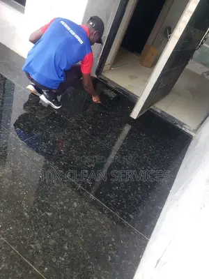 Premium Cleaning and Fumigation Services
