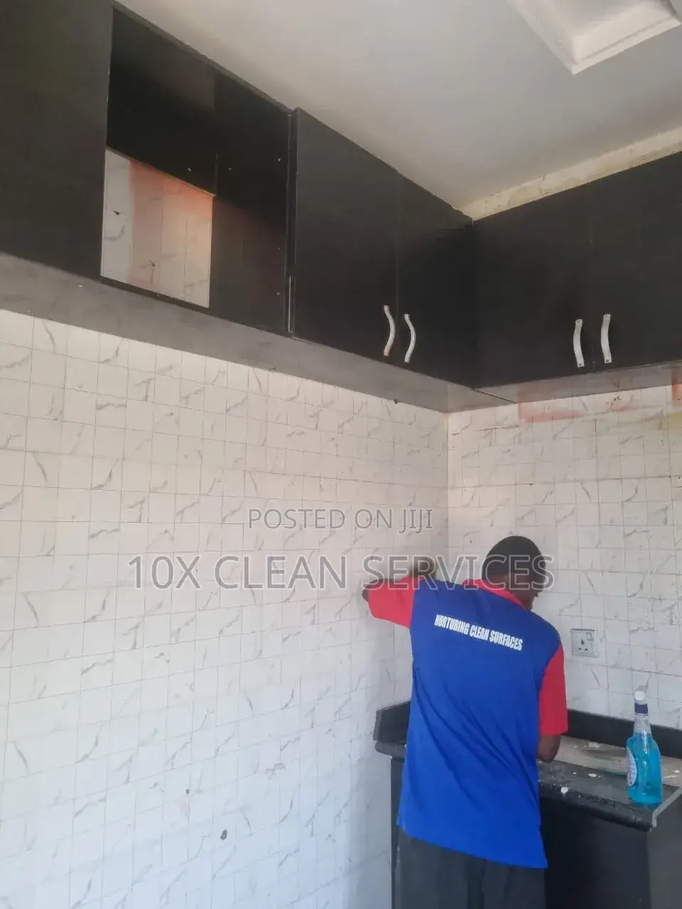 Premium Cleaning and Fumigation Services
