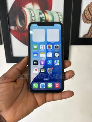 Apple iPhone XR 64 GB Gray
