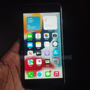 Apple iPhone 6s Plus 64 GB Gray