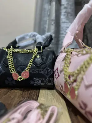 Luxury Coach Bag