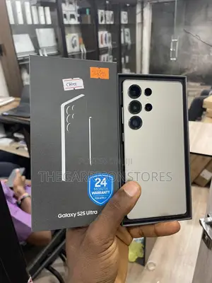 Samsung Galaxy S25 Ultra 256 GB Gray