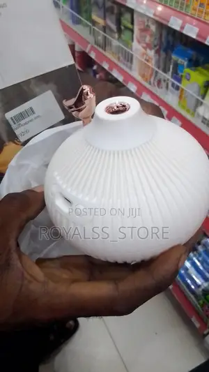 Creative Onion Shaped Air Humidifier and Aroma Diffuser