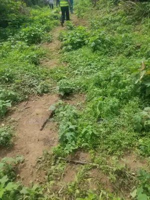 Two Plots of Land in Uso Area, Afao Road. Ado Ekiti for Sales