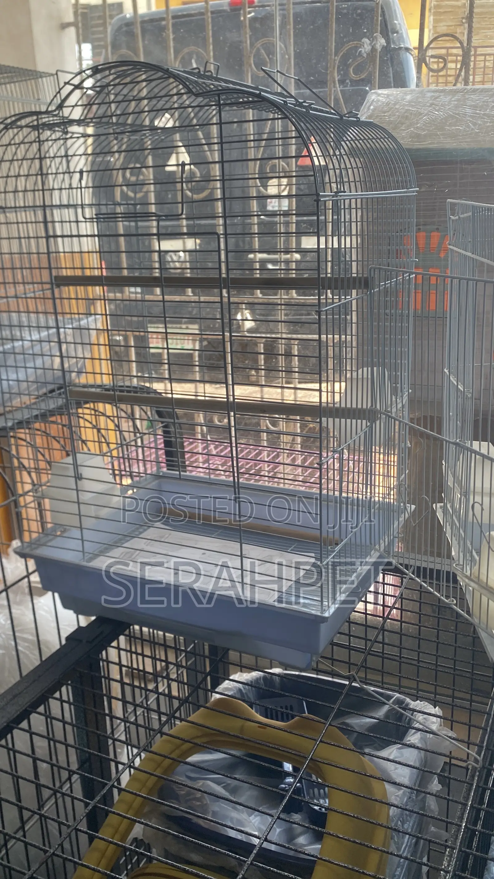 Bird Cage Available